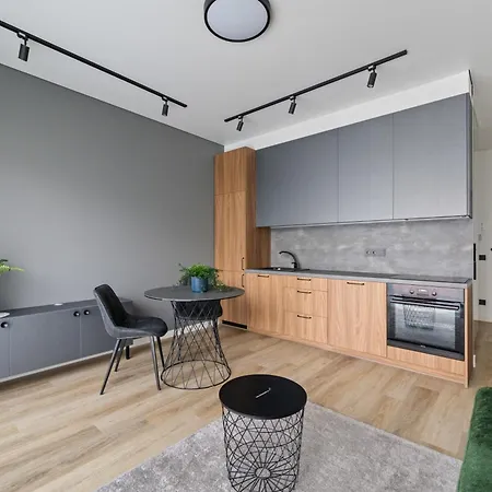 Didlaukio 67a Studio Apartment Vilnius